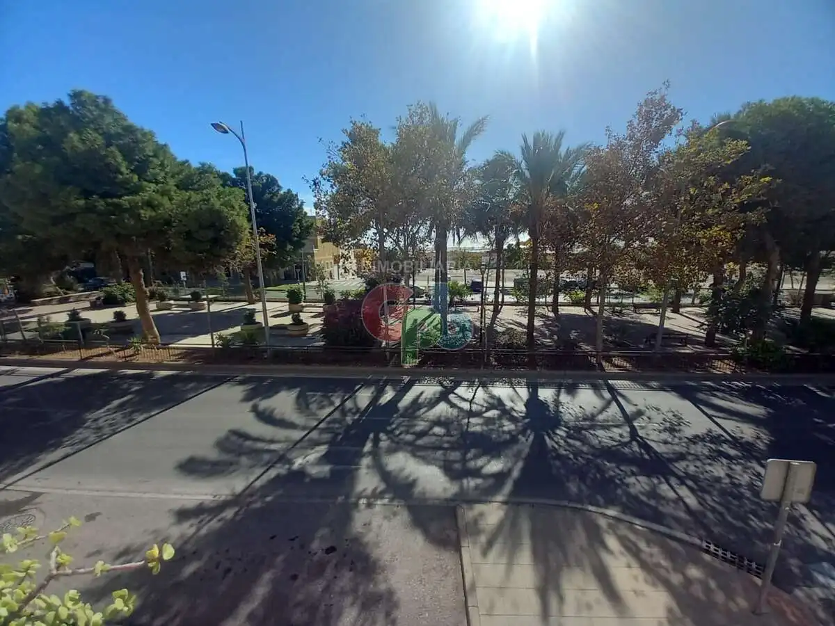 Vista exterior de Pis en venda en Vícar amb Terrassa i Moblat