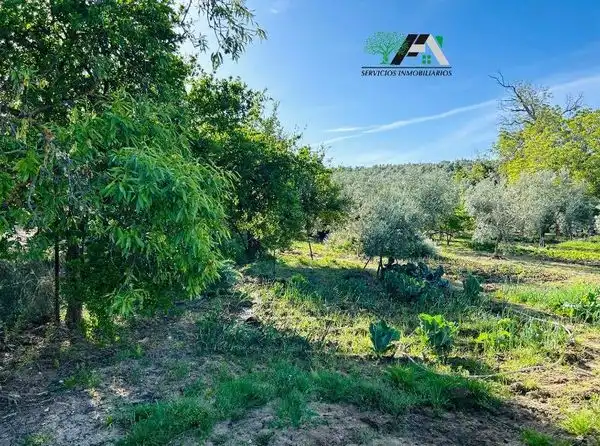 Terreni e lotti in vendita a Baeza, imagen 30
