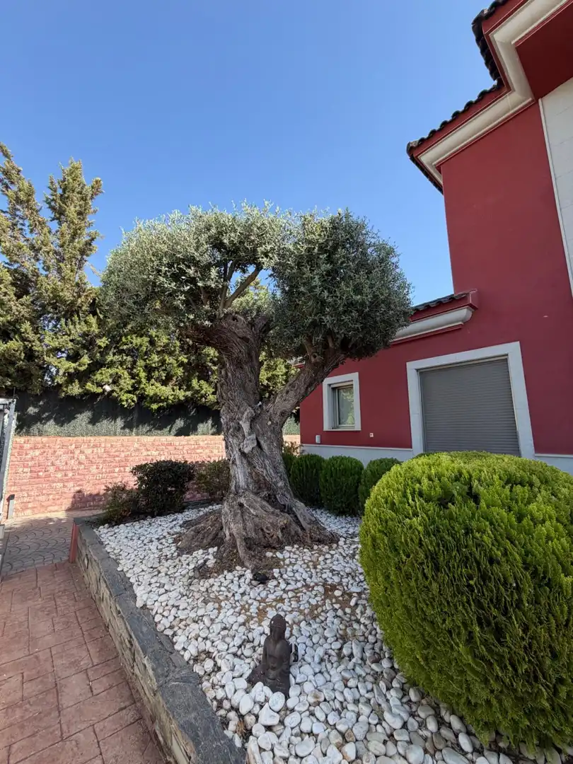 Jardín de Casa o chalet de alquiler en Elche / Elx con Aire acondicionado, Calefacción y Jardín privado