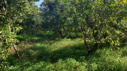 Foto 3 de Terreno en venta en Vereda del Rincon del Gallego, Torreagüera, Murcia Capital