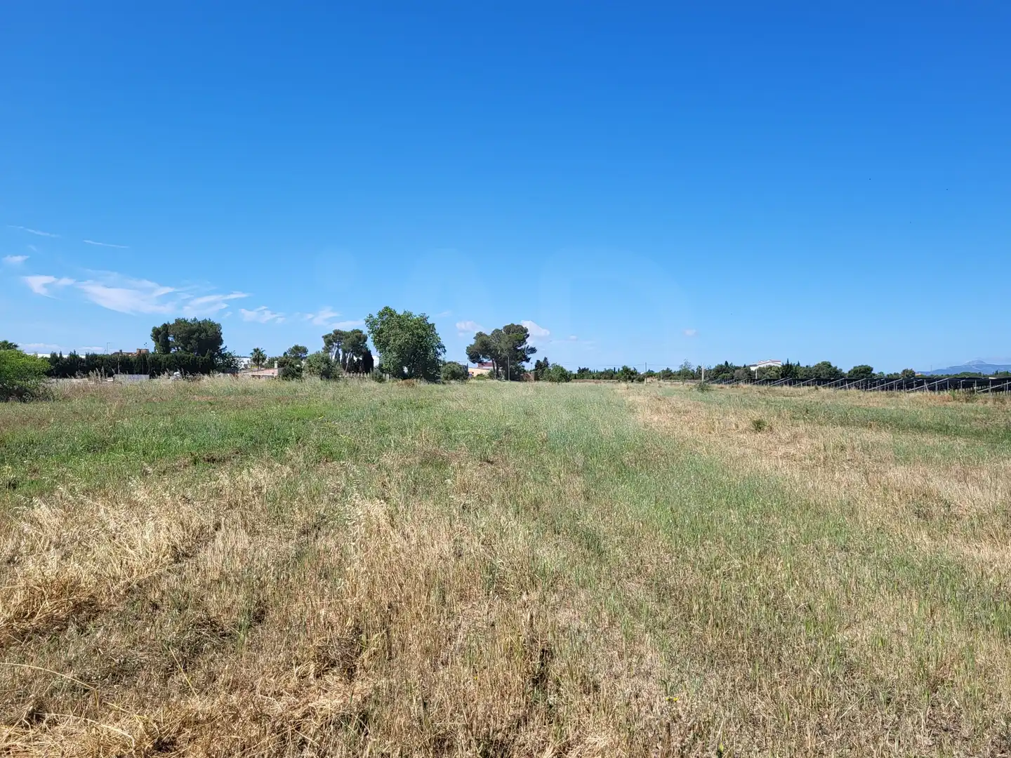 Terrain rustique à vendre à Polígono 2 Parcela 1, imagen 3
