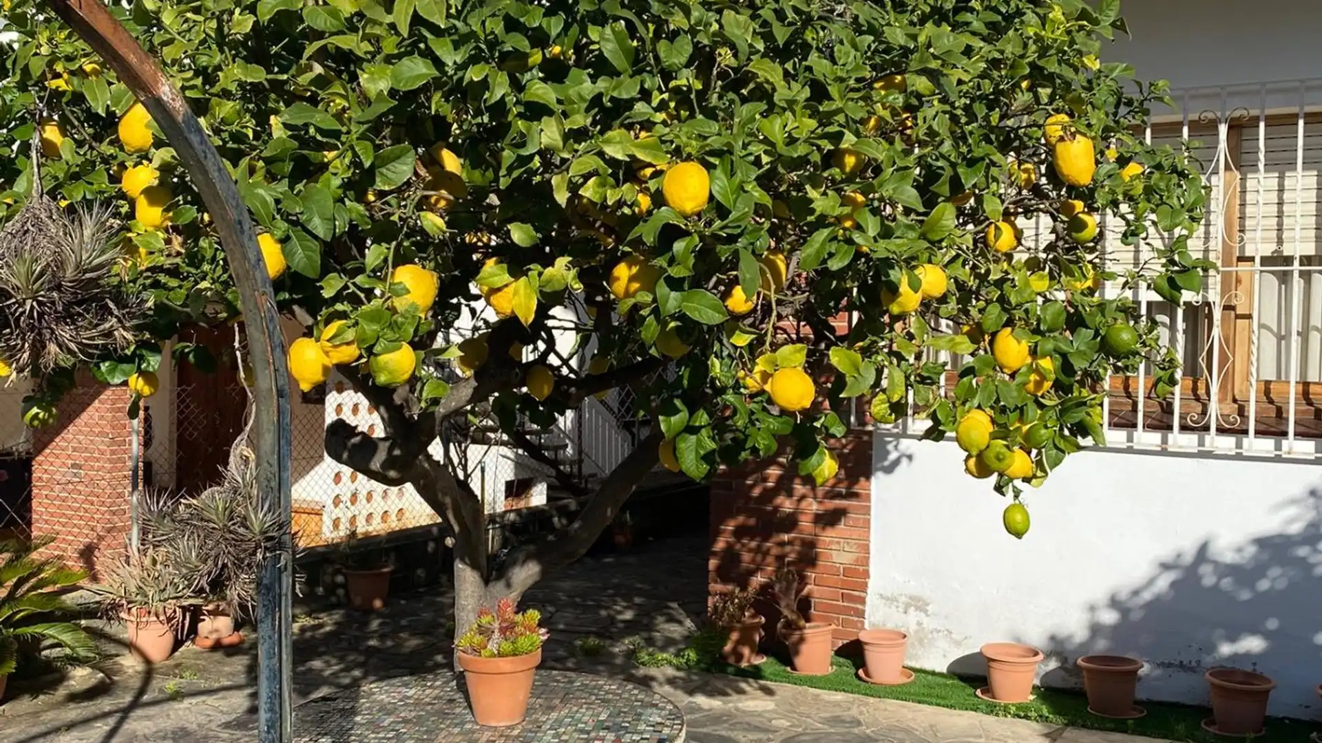 Garten von Haus oder Chalet zum Verkauf in Pineda de Mar mit Privatgarten, Terrasse und Balkon