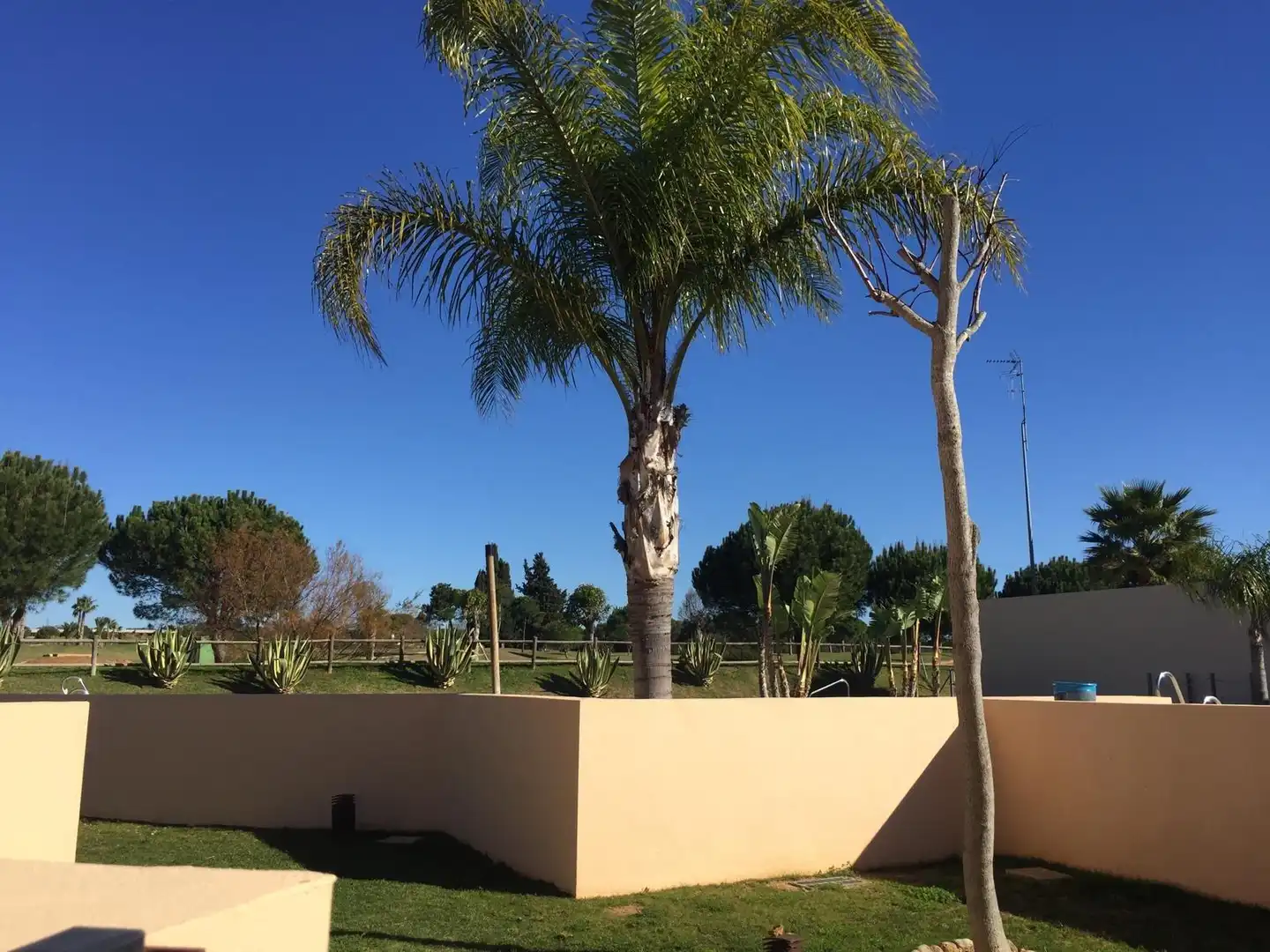 Jardí de Casa adosada de lloguer en Puerto Real amb Aire condicionat, Calefacció i Terrassa