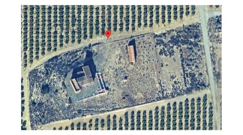 Foto 5 de Finca rústica en venda a Poligono 129 Paraje 558 Rambla Gallan, Almendricos, Lorca