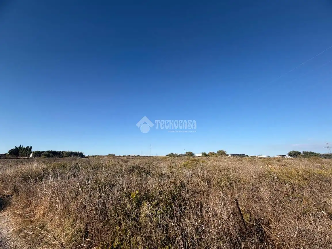 Terreno rústico en venta en Los Franceses – La Vega, imagen 15
