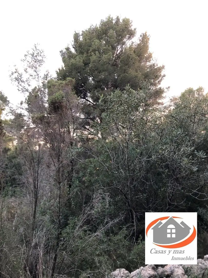 Terreno rústico en venta en Ribesalbes, imagen 9
