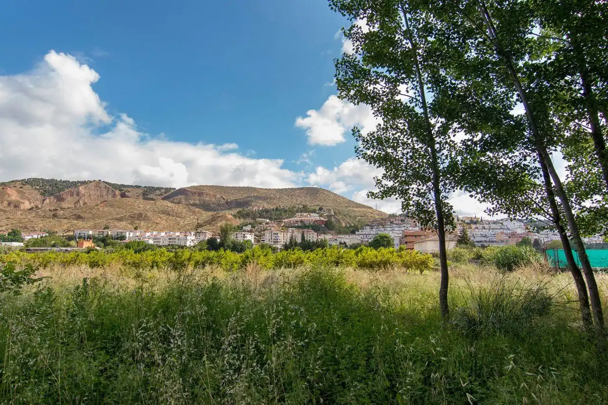Casa rústica en venta en Genil, imagen 4