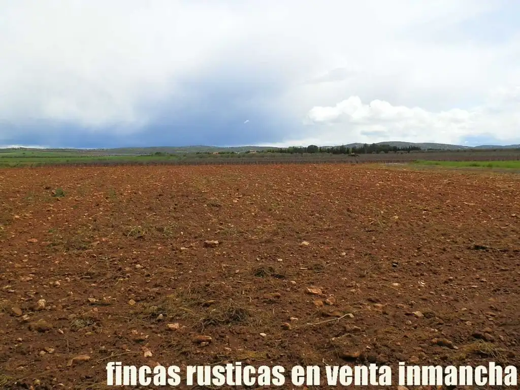 Terreno rustico in vendita a Pozuelo de Calatrava, imagen 2