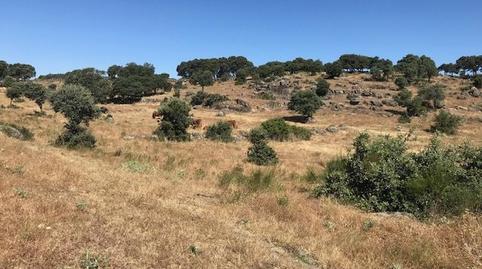Foto 3 de Finca rústica en venda a Casco Antiguo, Toledo