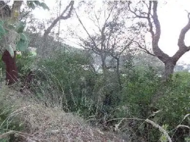 Terreno rústico en venta en C/ Sant Felip, imagen 9