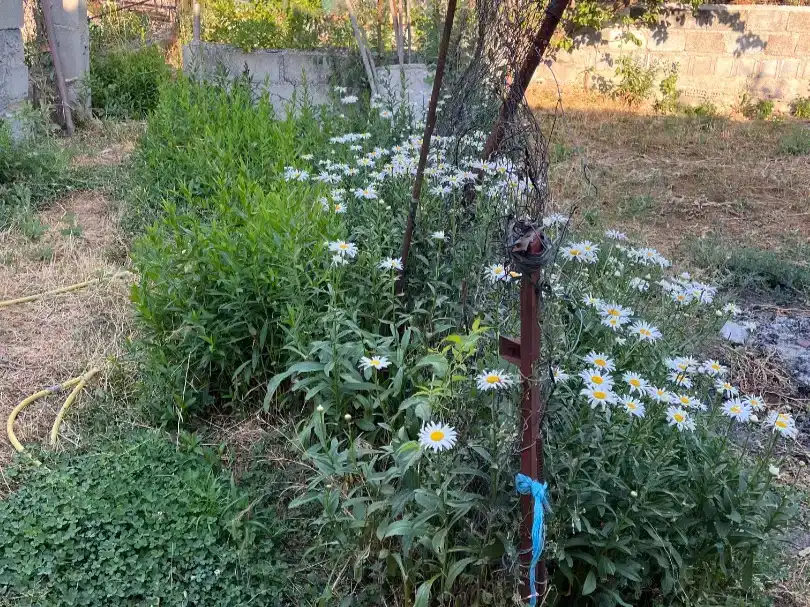 Jardí de Pis en venda en Beas de Granada