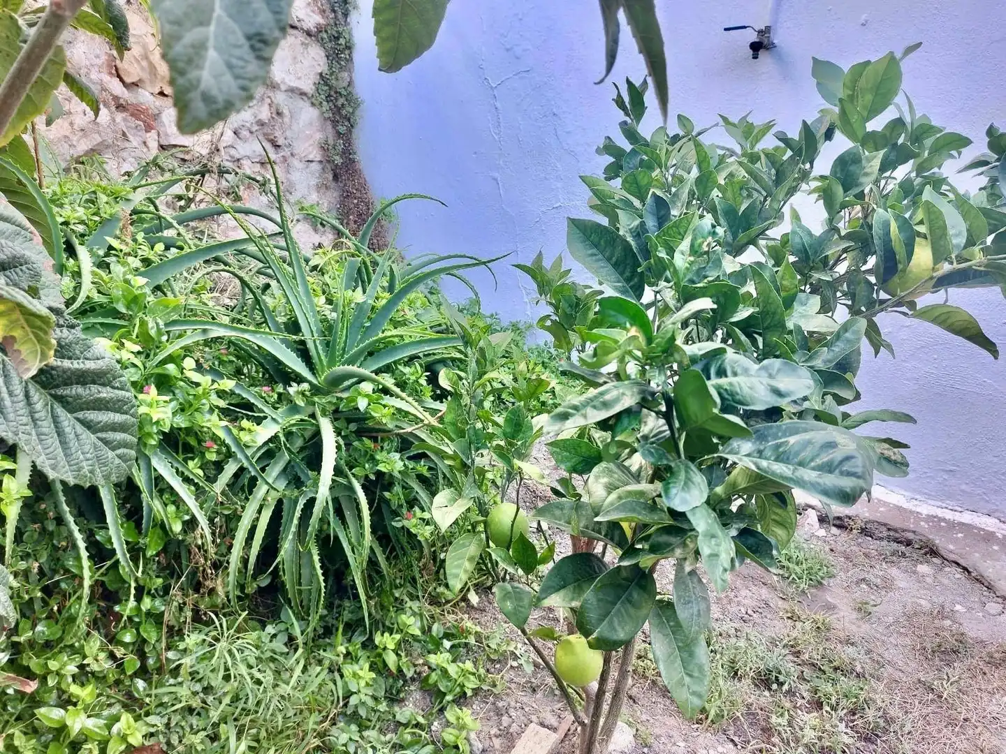 Maison à vendre à Centro, imagen 17