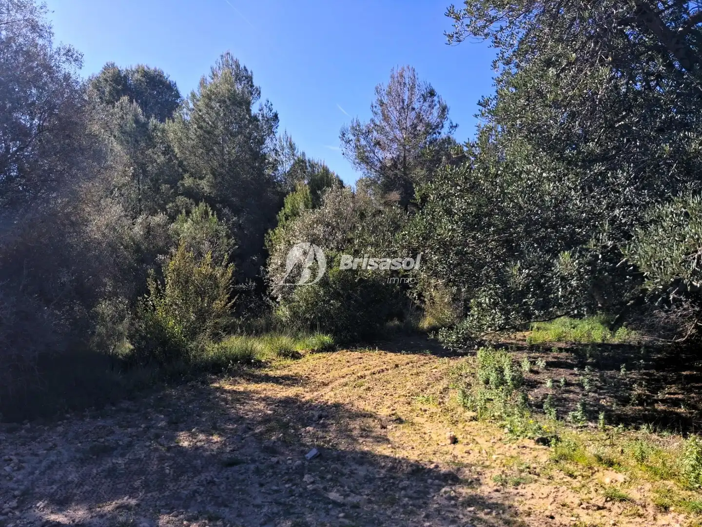 Rural land for sale in La Secuita, imagen 2