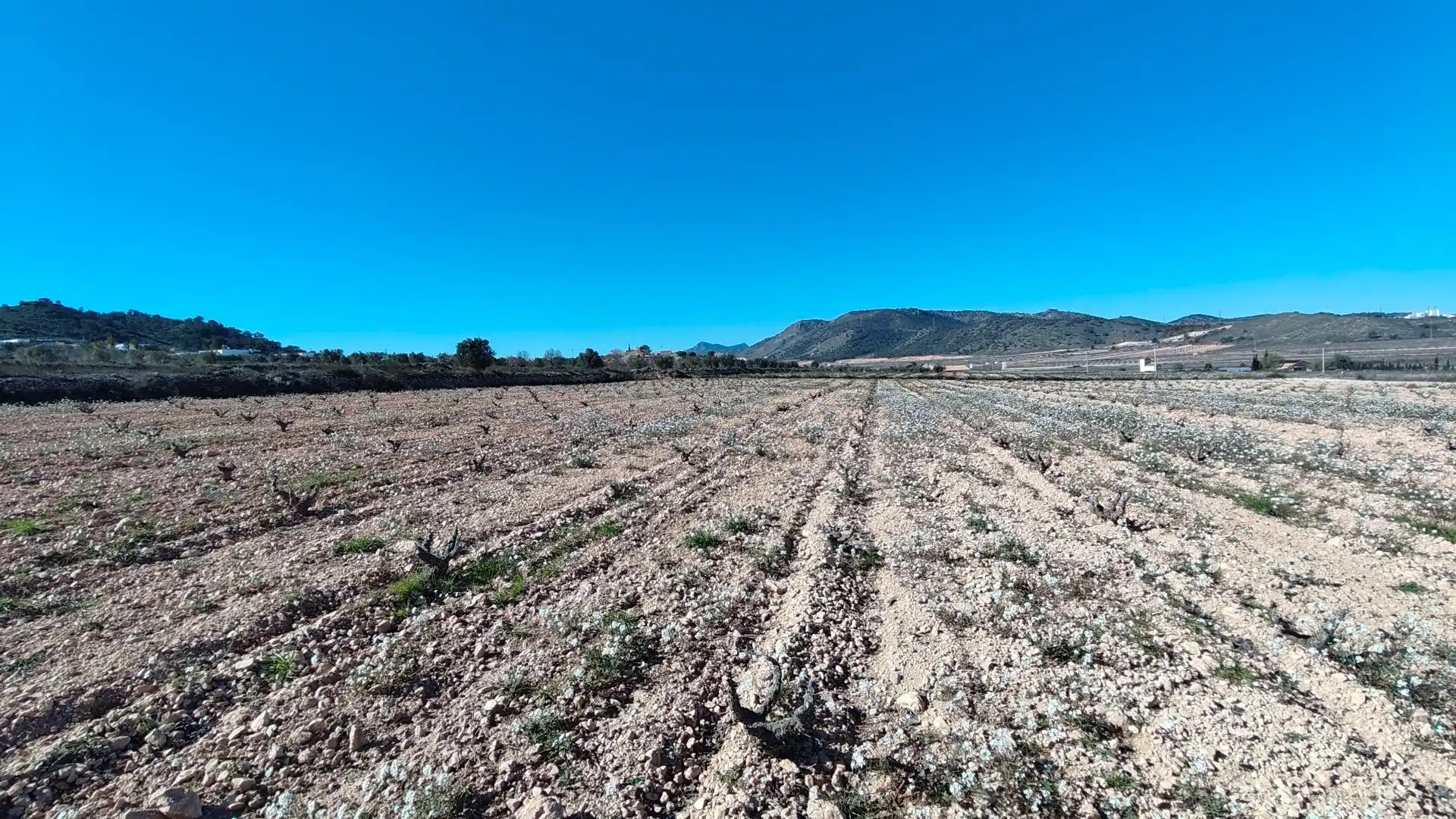 Lands and plots for sale in Abanilla, imagen 11