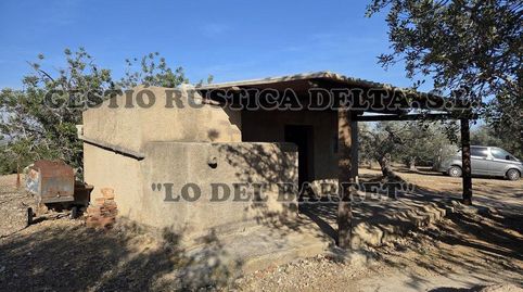 Foto 3 de Finca rústica en venda a Poligono 81, L'Ampolla, Tarragona