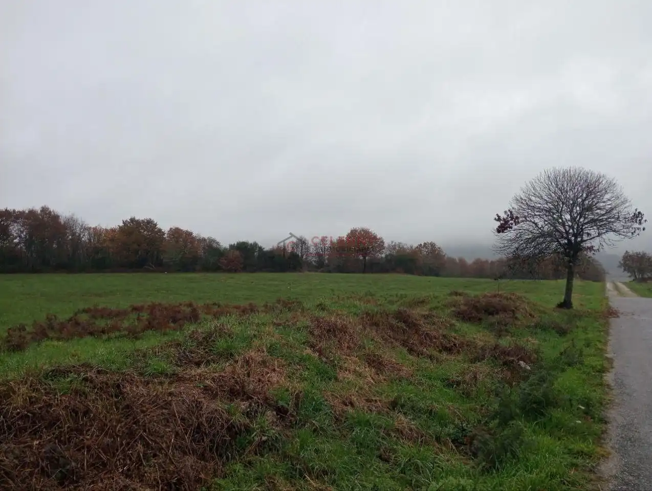 Finca rústica en venda en Xunqueira de Espadanedo amb Calefacció, Jardí privat i Terrassa