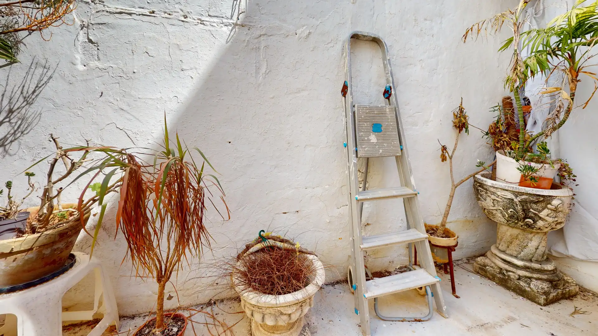 Jardín de Casa o chalet en venta en Chilches / Xilxes con Terraza y Amueblado