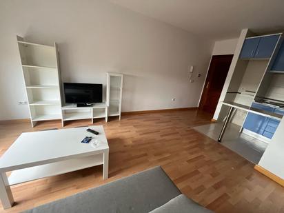 Sala d'estar de Apartament de lloguer en Badajoz Capital amb Traster