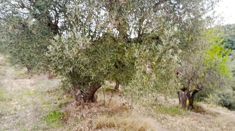 Foto 2 de Finca rústica en venda a La Puebla de Castro, Huesca