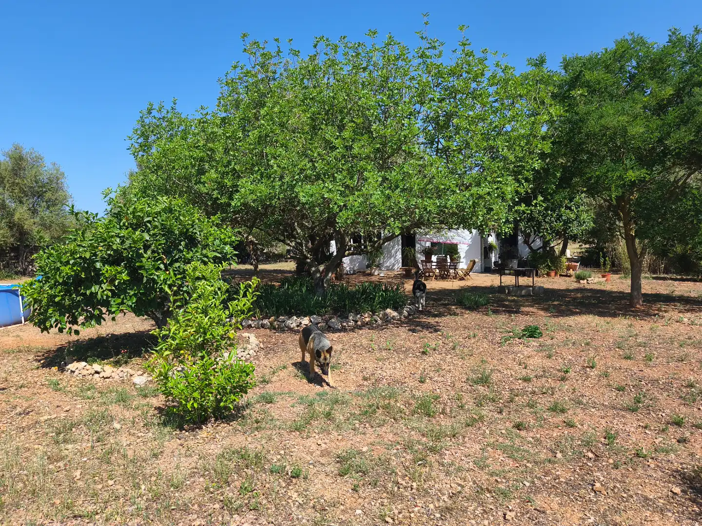 Villa mit Garten zum Verkauf in Algaida, imagen 11