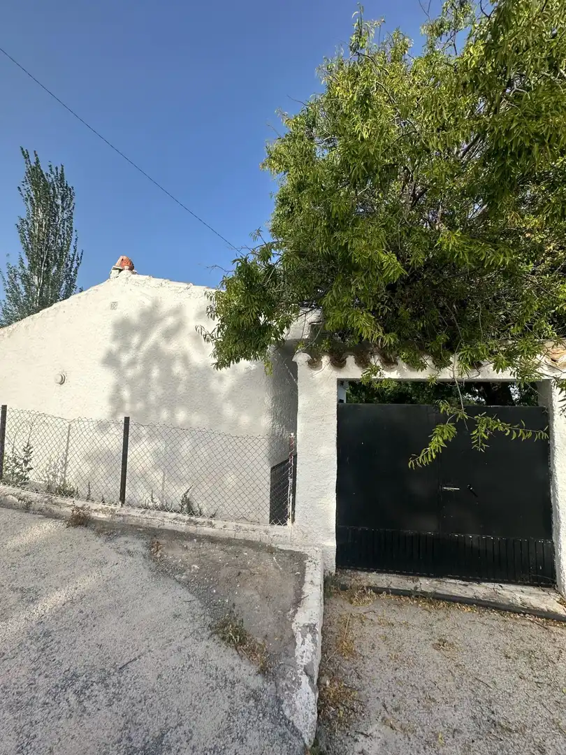 Vista exterior de Finca rústica en venta en Somontín