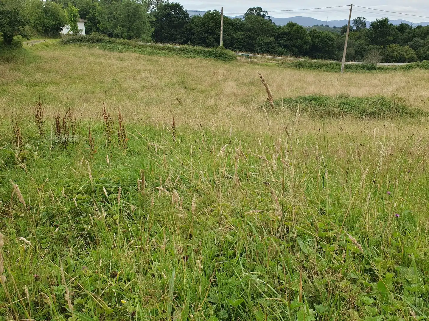 Residential land for sale in Grado, imagen 14