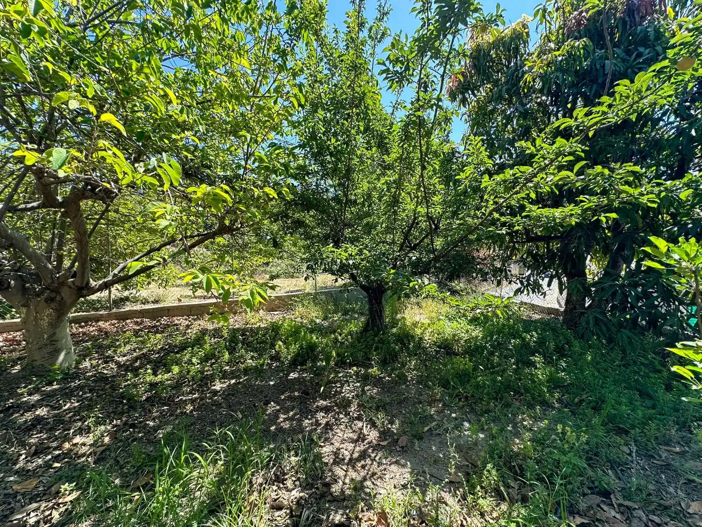 Casa o chalet en venta en Motril con Calefacción, Terraza y Trastero