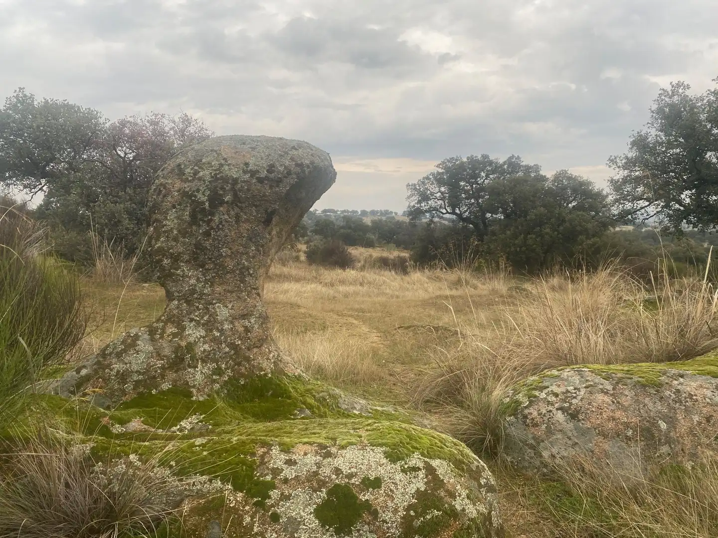 Terreni e lotti in vendita a La Estrella, imagen 37