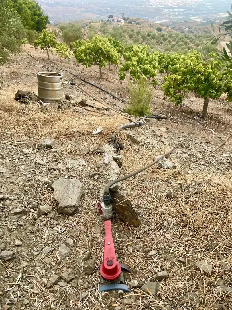 Jardí de Finca rústica en venda en Vélez-Málaga amb Jardí privat, Parquet i Piscina