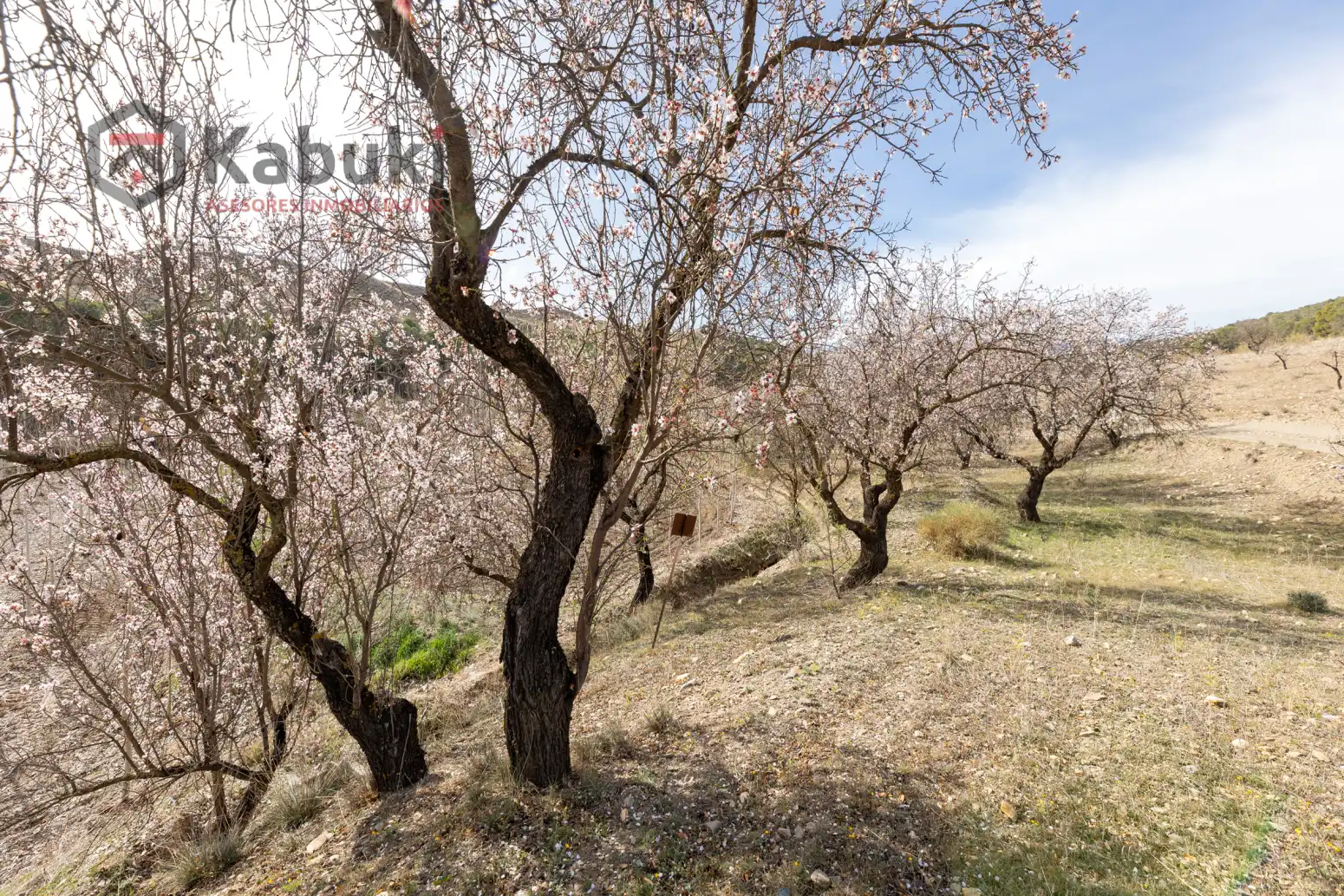 Terreni e lotti in vendita a Guadix - AUTE. VALLE DEL ZALABI