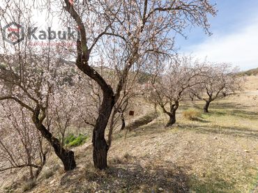 Terreny rústic en venda a Guadix - AUTE. VALLE DEL ZALABI
