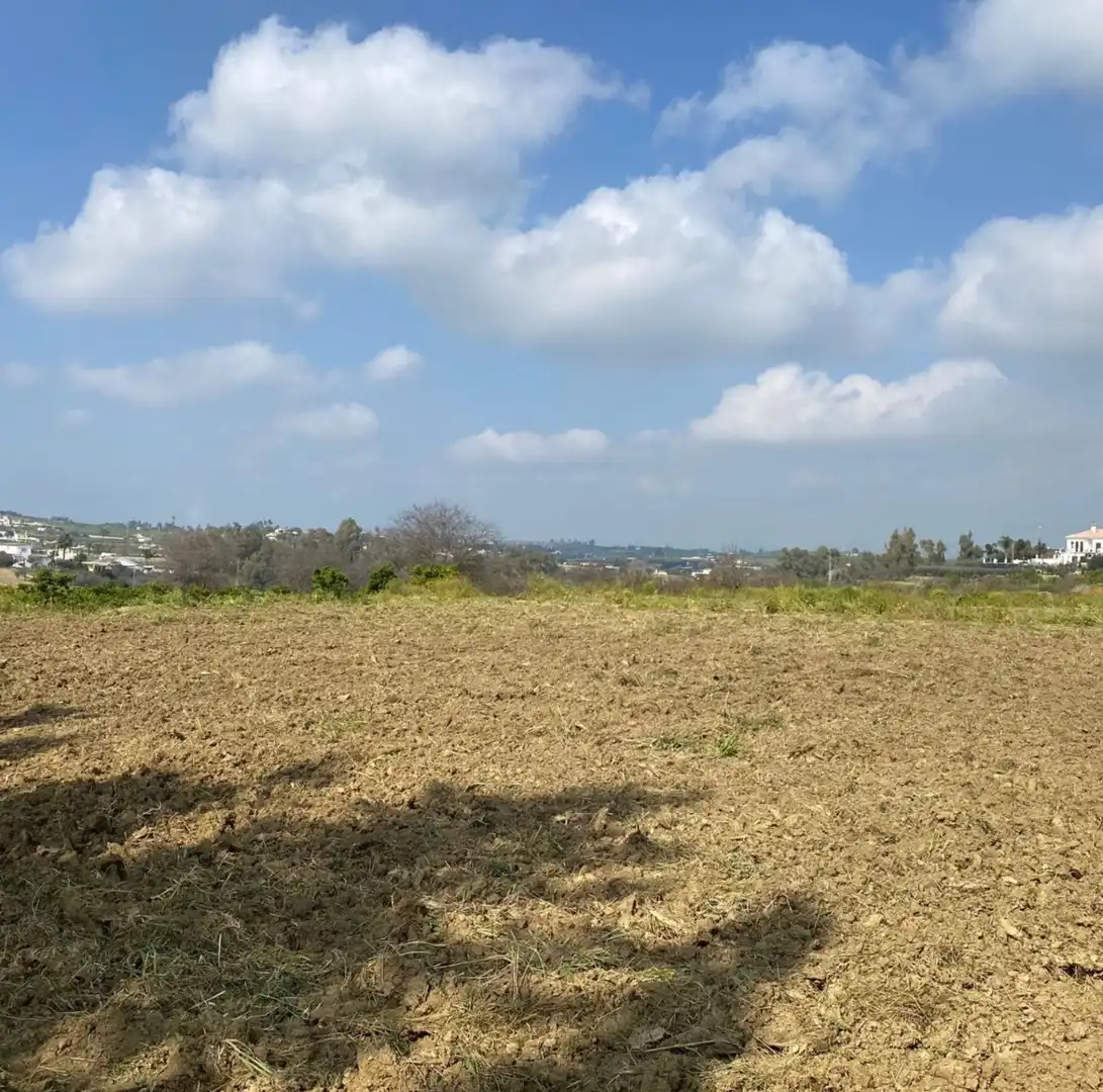 Terreno rustico in vendita a Casalpalma - Fahala, imagen 5