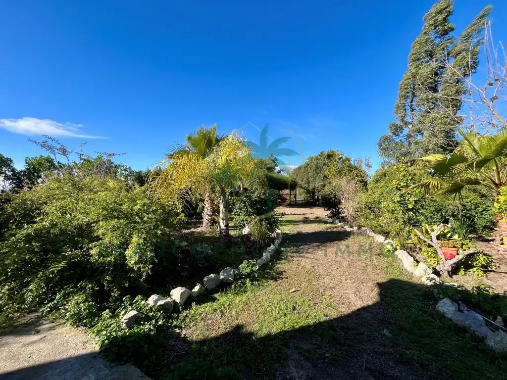 Garden of Houses for sale in Cullera
