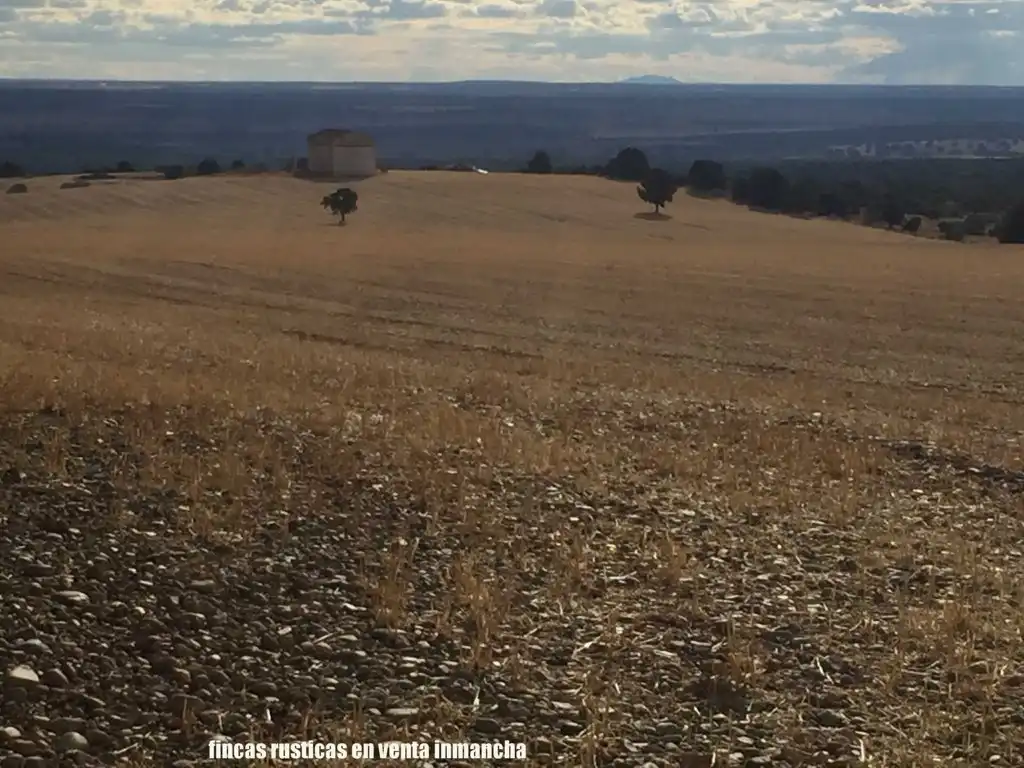 Terreni e lotti in vendita a Munera, imagen 9
