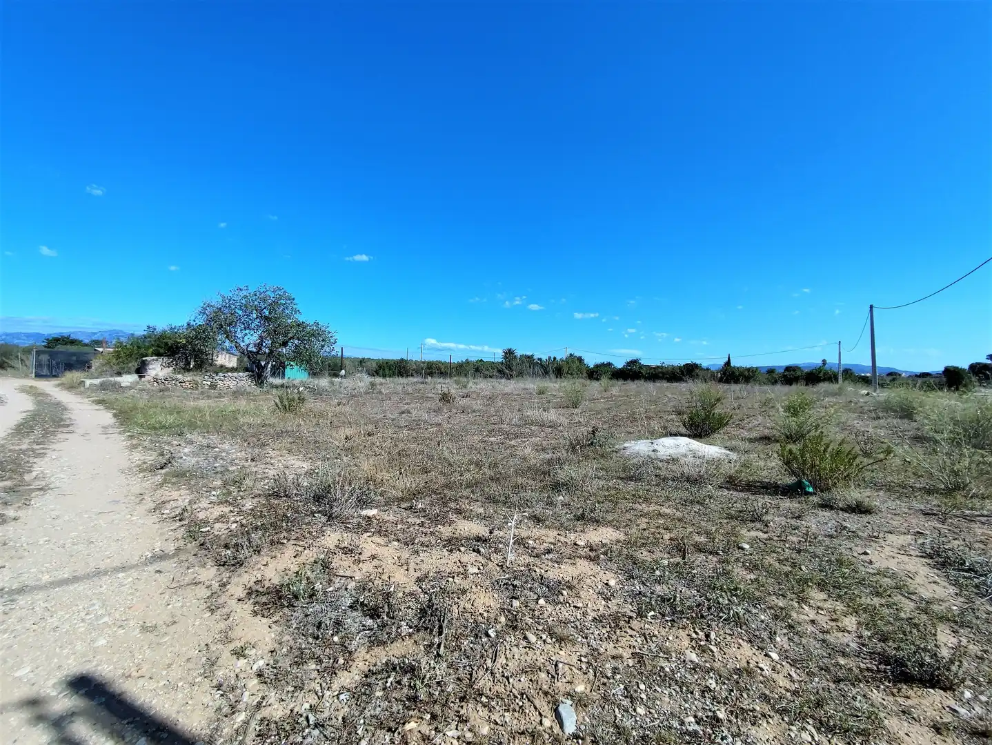 Rural land for sale in Carretera d'Amposta, imagen 19