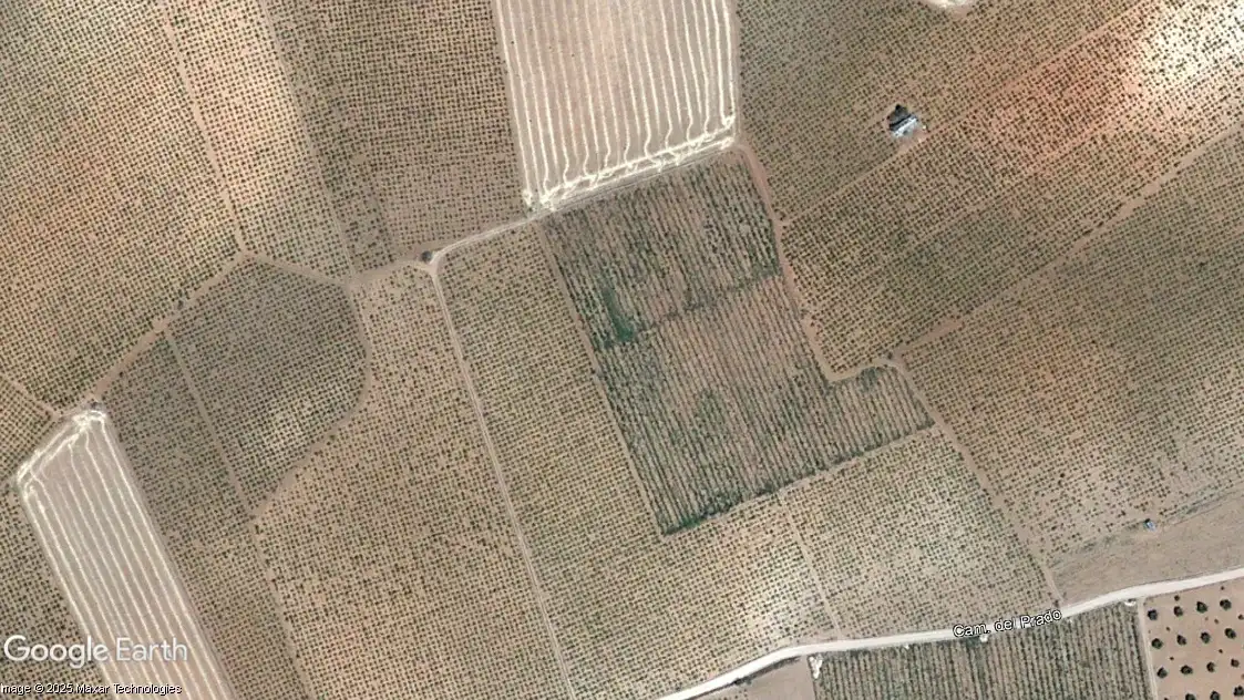 Terreno rustico in vendita a Membrilla, imagen 2