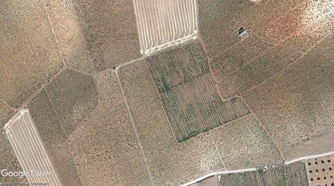 TERRENO DE VIÑAS, LLANO Y CON POSIBILIDAD DE CONSTRUIR VIVIENDA UNIFAMILIAR, immagine 2