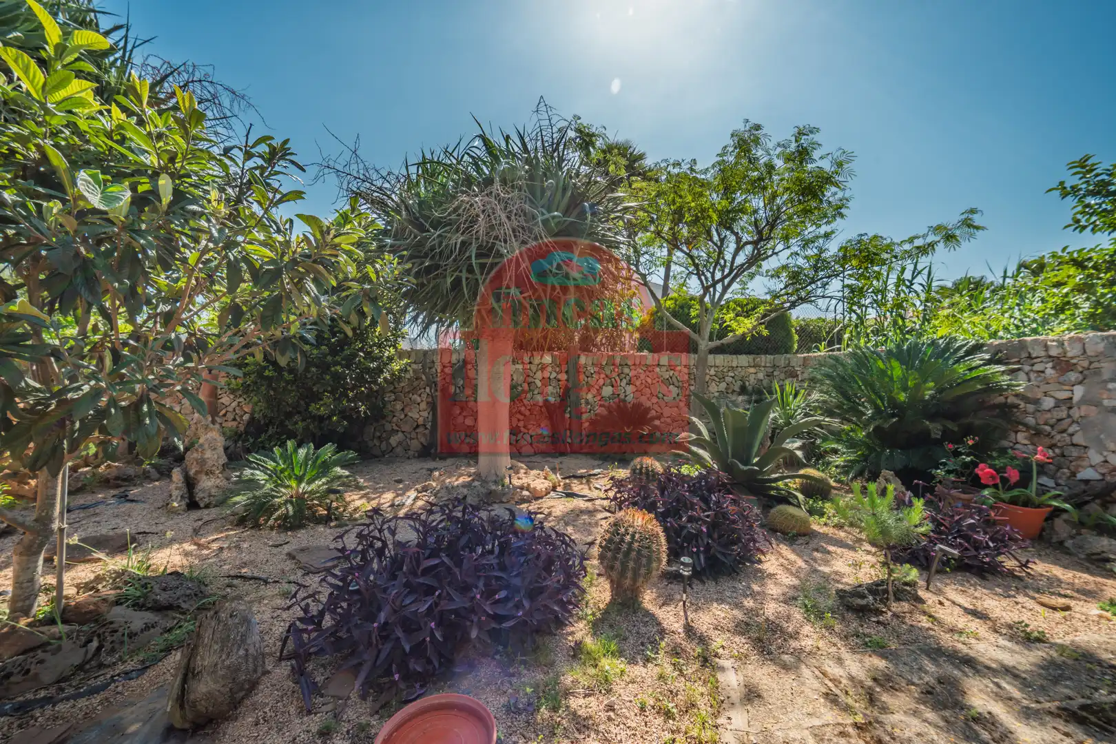 Villa mit Garten zum Verkauf in Cala Blanca, imagen 11