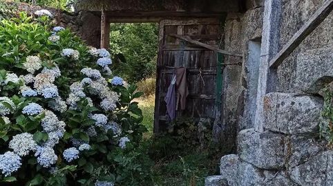 Foto 3 de Casa o chalet en venta en Lugar a Outraldea, 12, Vilamarín, Ourense