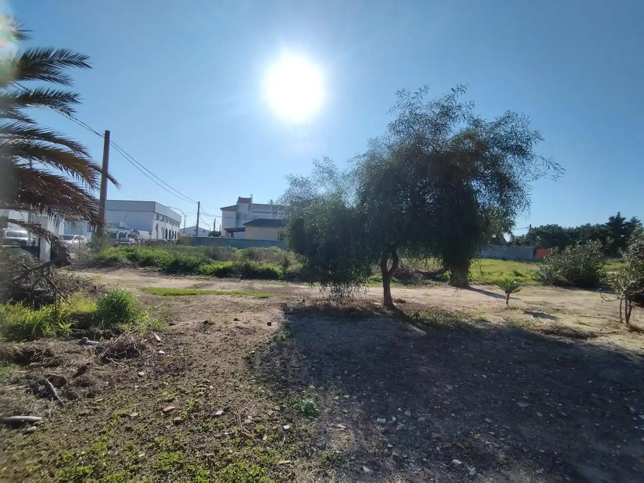 Lands and plots for sale in De Pozo De Las Vacas, imagen 6