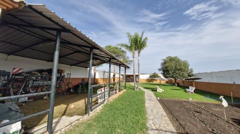 Foto 4 de Casa o xalet en venda a El Zabal - Santa Margarita, Cádiz