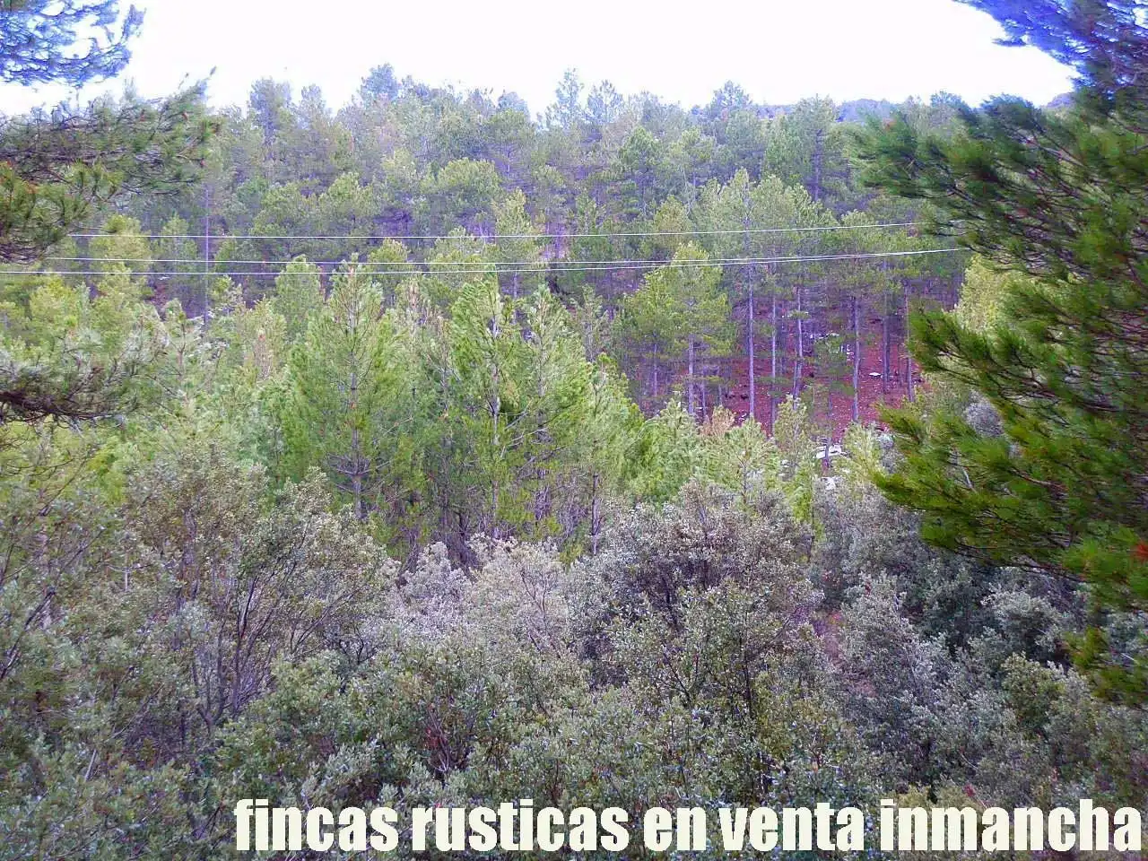 Terreni e lotti in vendita a Nerpio, imagen 17