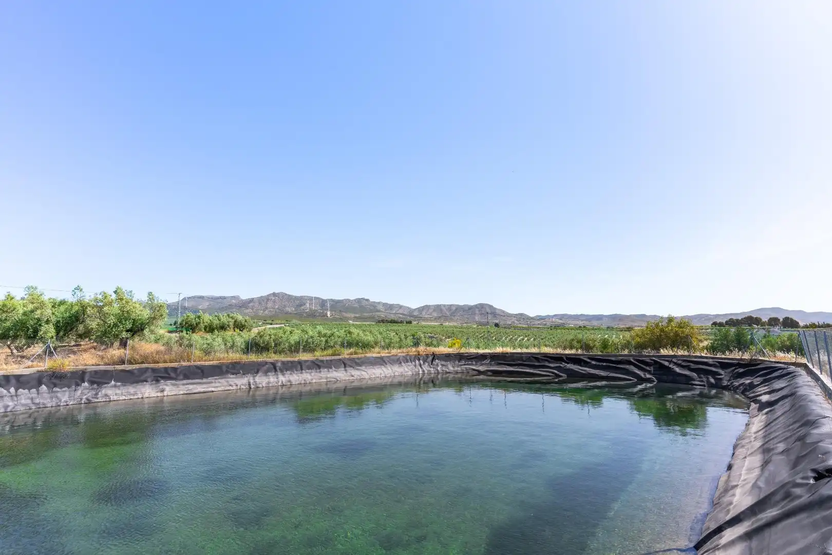 Piscina de Terreno en venta en Tíjola