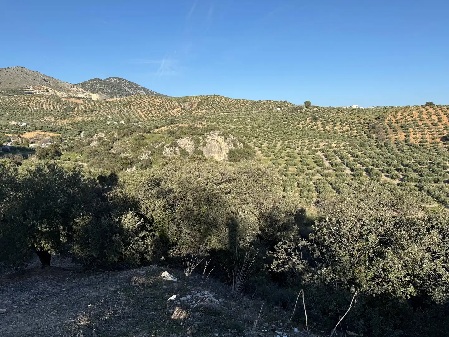Rustikales Grundstück zum Verkauf in 8536+FQ Algarra sales, Spain, imagen 5