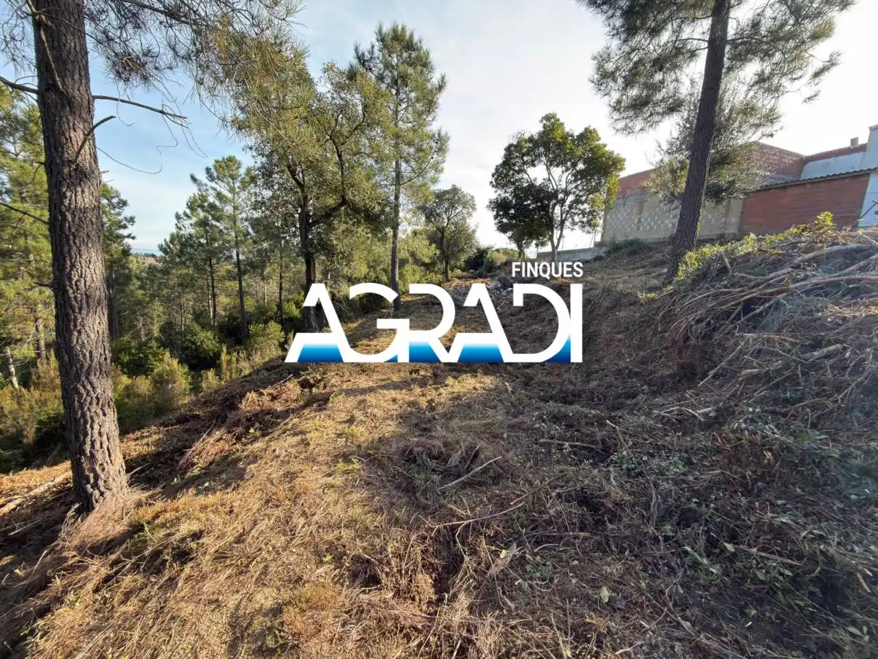 Terreny residencial en venda a Calle Perdiu 28, imagen 8