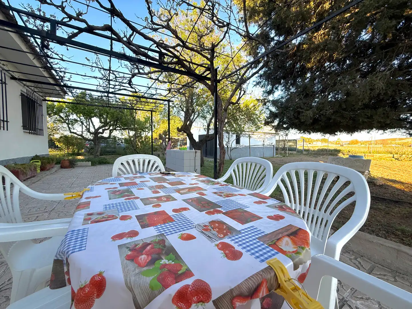 Terraza de Casa o chalet en venta en Estremera con Calefacción, Jardín privado y Terraza