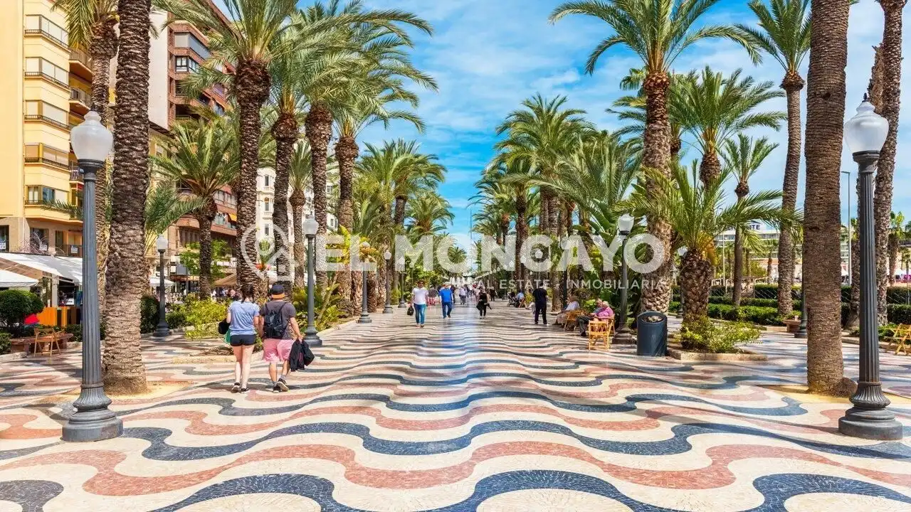 Vista exterior de Casa o xalet en venda en Elche / Elx amb Aire condicionat, Calefacció i Jardí privat