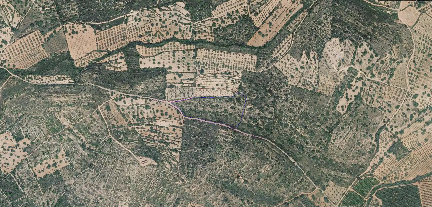 Terreno rustico in vendita a Cervera del Maestre, imagen 2