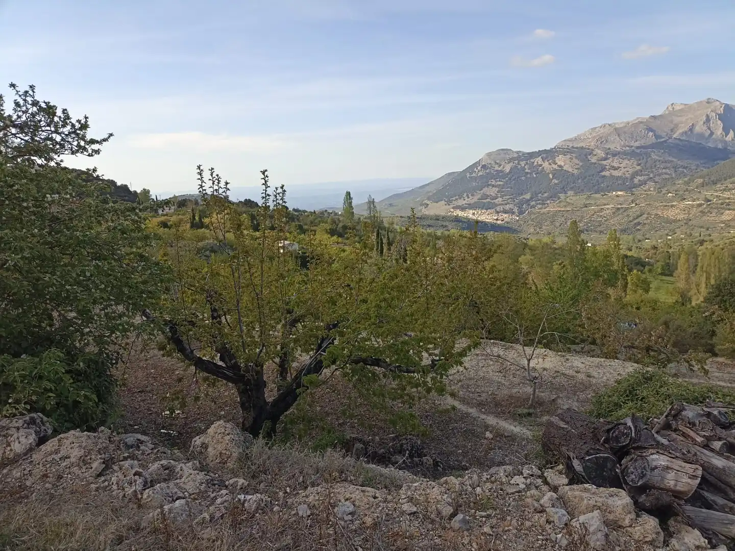 Land for sale in Torres