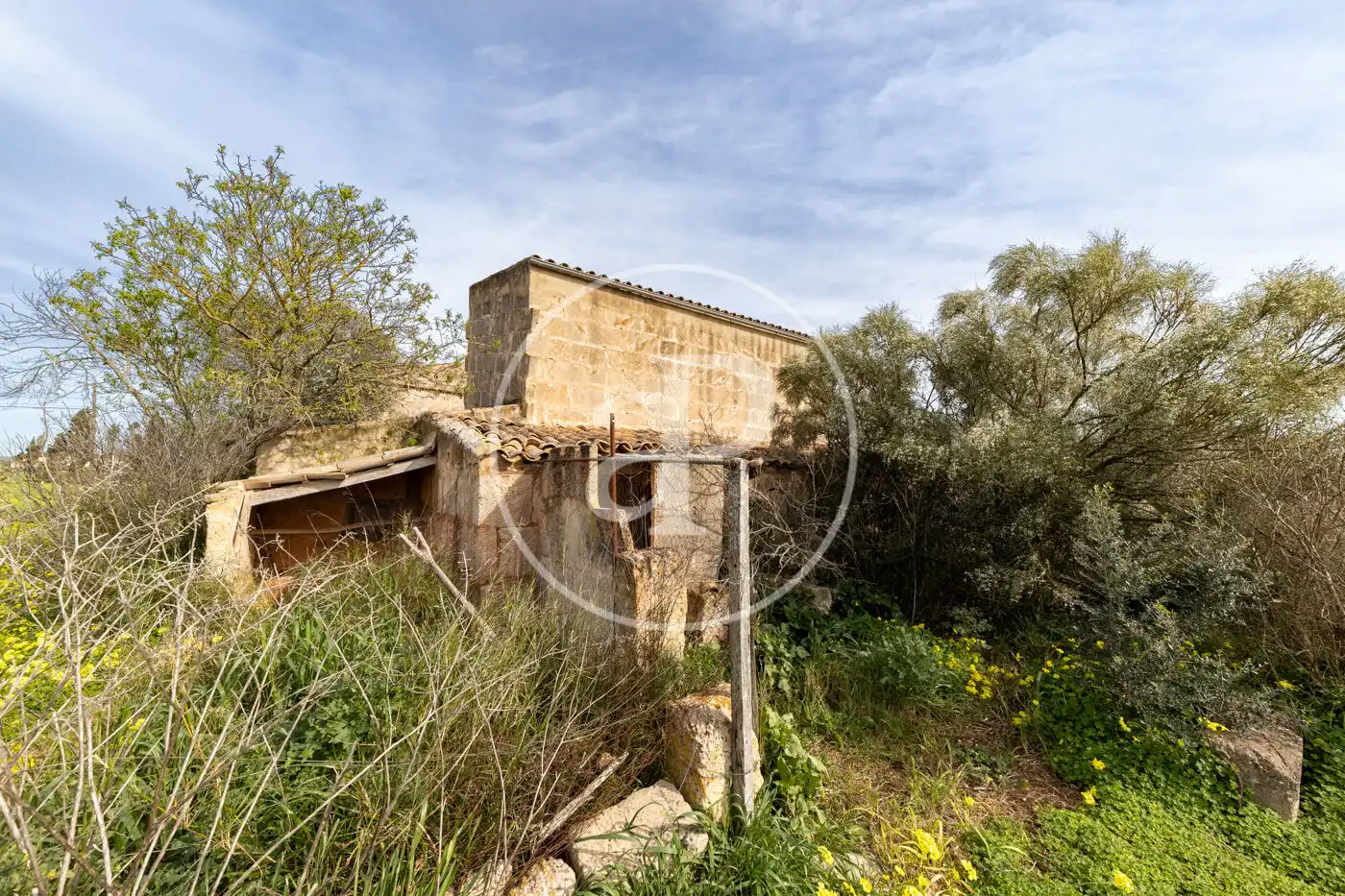 Vista exterior de Finca rústica en venta en Campos con Jardín privado y Trastero